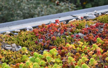 the cost of Lair green roof installation
