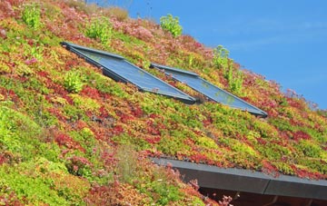 Lair living roof systems